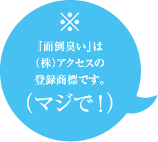 ※「面倒臭い」は(株)アクセスの登録商標です。（マジで！）