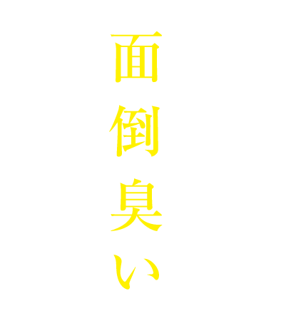 アクセスの「面倒臭い」人材紹介